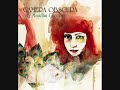 Camera Obscura - Forests & Sands