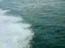 Speedboat ride Bradlington Speedboat ride Bradlington
