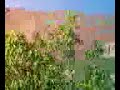 sony ericsson k700i kamera test.html