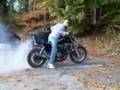 V65 Magna Burnout