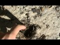 How To Dig a Hole with your Finger