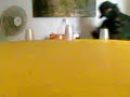 Speed Stacks (facu)