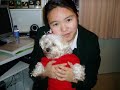 かわいい犬動画