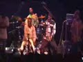Tuku & Sam 11