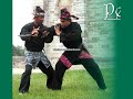 Seni Gayung Fatani in France