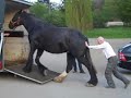 Így NE szállíts lovat