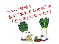 あおくび大根