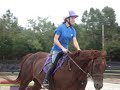 flicka-viva la vida