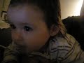 elefante 3.AVI
