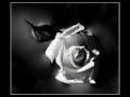 video poesias com musica 0001