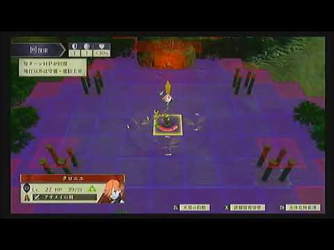 動画
