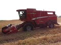 Mietitrebbia Laverda AL quattro al lavoro a Cupello