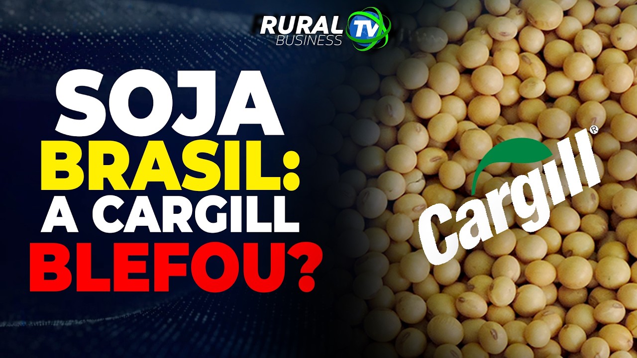 FUTURO DO MILHO? CONHEÇA O LADO POSITIVO E O NEGATIVO!