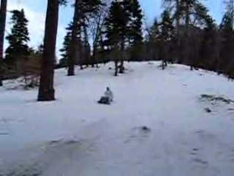 Big Bear Sledding - Albert 1