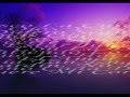 Ver Video