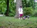 The DOG Olympics Closing Ceremony
