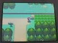 Pokemon platinum / platine  part 1 : Mon premier pokémon .