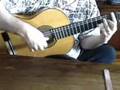 FLAMENCO para EDINA 2