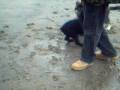 videos de Me and some daft dog.