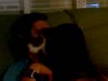 videos de mira que me kiere mi gato,maracena