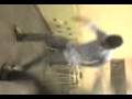 videos de FLOGER PUTOO