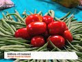celebraci�n del d�a de la cruz 2008