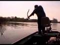 bowfishing carp
