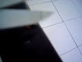 autopsia casera a una rana