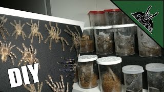 DIY: Sling cup display stand and display for molts