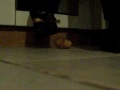 Nike Shox vs. Potato Nike Shox vs. Potato