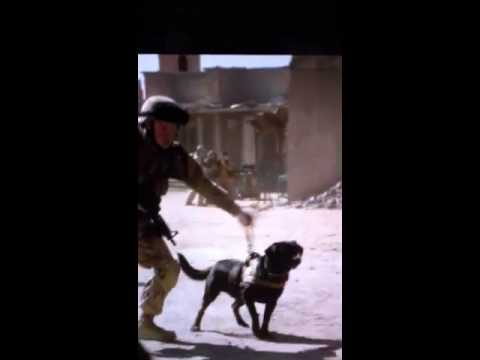 See video See video
