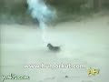 Cachorro atirador