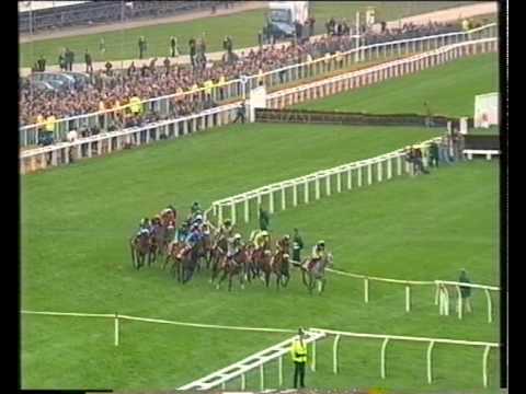 racing results cheltenham