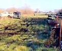 125cc en 250cc susuki beunen op weiland
