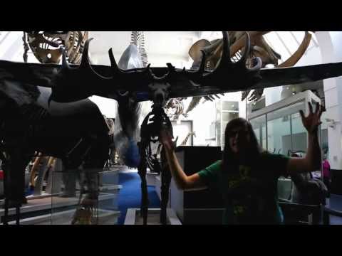 Megaloceros