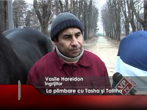 La plimbare cu Tasha şi Talitha