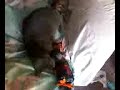 1115081347 copy.mpeg