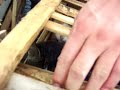 Pet cats in China trapped for food and fur Pet cats in China trapped for food and fur