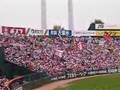 広島VSロッテ　応援旗乱舞