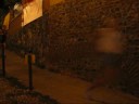 Stracaluso 2008