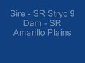 S9AM-08