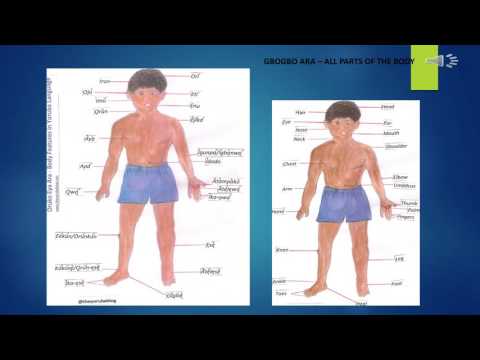 part of the body in english and yoruba