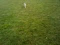 Jedi has an adventure...and shares a VERY private moment!