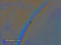 Ilusion optica