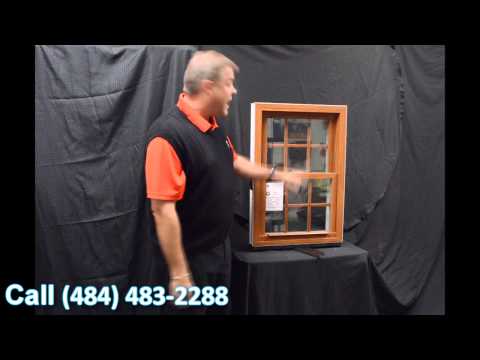 Lotus Window | (484) 483-2288