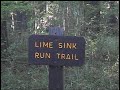 Visit Suwannee River State Park
