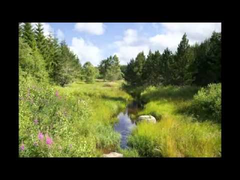 margeride - Vidéo produite par le comité de pilotage Natura 2000 du plateau de Charpal. Ce site est situé en Nord Lozère, au sud du plateau de la Margeride, et fait part...