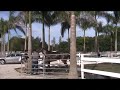 bambera en miami