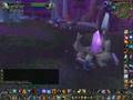 World of Warcraft - Bugged hunter pet ability, 600+ dps pet