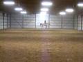 MM If Ida Dressed AQHA Gelding For Sale